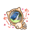 悠芽の鳥日記3（個別スタンプ：20）