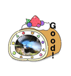 悠芽の鳥日記3（個別スタンプ：22）