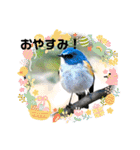 悠芽の鳥日記3（個別スタンプ：24）