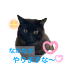 黒猫 ルナ院長48にゃんめ（個別スタンプ：5）