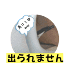 桜文鳥わすけ【改訂版】（個別スタンプ：15）