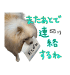 しいこたむつ 第4弾（個別スタンプ：5）