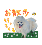 しいこたむつ 第4弾（個別スタンプ：6）