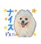 しいこたむつ 第4弾（個別スタンプ：9）