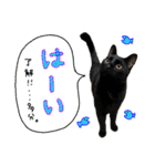 しいこたむつ 第4弾（個別スタンプ：12）