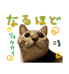 しいこたむつ 第4弾（個別スタンプ：15）