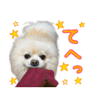 しいこたむつ 第4弾（個別スタンプ：20）