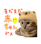 しいこたむつ 第4弾（個別スタンプ：21）