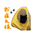 しいこたむつ 第4弾（個別スタンプ：28）