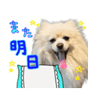 しいこたむつ 第4弾（個別スタンプ：31）