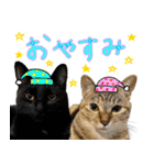 しいこたむつ 第4弾（個別スタンプ：32）