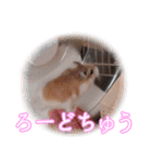 ぴよちゃんの毎日スタンプ（個別スタンプ：18）
