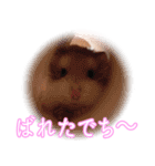 ぴよちゃんの毎日スタンプ（個別スタンプ：34）