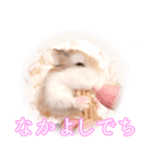 ぴよちゃんの毎日スタンプ（個別スタンプ：39）