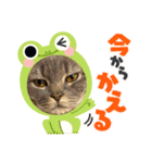 さなだ家スタンプ2（個別スタンプ：1）