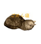 さなだ家スタンプ2（個別スタンプ：2）