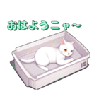 AIの実を食べて賢くなった猫さんの日常（個別スタンプ：3）