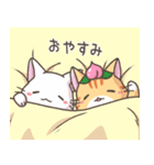 可愛い♡ニャニャモモとドローンスタンプ（個別スタンプ：10）