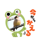 悠芽の鳥日記 レンジャク編（個別スタンプ：2）