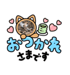 悠芽の鳥日記 レンジャク編（個別スタンプ：4）