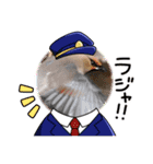 悠芽の鳥日記 レンジャク編（個別スタンプ：6）