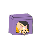 かわいい子犬 オカ（個別スタンプ：14）