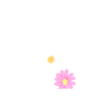 こっそり愛を伝える白い文字（個別スタンプ：13）