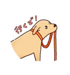 ラブラドールな日常（個別スタンプ：7）