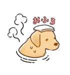 ラブラドールな日常（個別スタンプ：21）