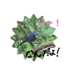 瑠璃くんと一緒（個別スタンプ：6）