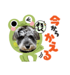 ぼく、ポパイ（個別スタンプ：3）