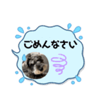 ぼく、ポパイ（個別スタンプ：6）