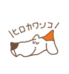 ヒロカワンコ（個別スタンプ：11）