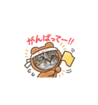 ウチのネコ 名はトラ。（個別スタンプ：9）