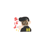 ウチのネコ 名はトラ。（個別スタンプ：40）