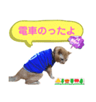 茶トラ猫のデカ文字スタンプ 犬 うさぎ♪（個別スタンプ：4）