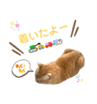 茶トラ猫のデカ文字スタンプ 犬 うさぎ♪（個別スタンプ：8）