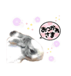茶トラ猫のデカ文字スタンプ 犬 うさぎ♪（個別スタンプ：12）