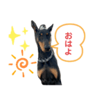 ロッキースタンプ2（個別スタンプ：1）