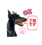 ロッキースタンプ2（個別スタンプ：3）