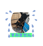 ロッキースタンプ2（個別スタンプ：5）