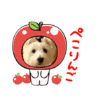 白犬集合（個別スタンプ：6）