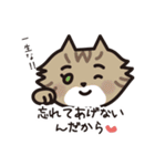 猫好きさんに送る！にゃんだらけスタンプ3（個別スタンプ：35）