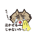 猫好きさんに送る！にゃんだらけスタンプ3（個別スタンプ：36）