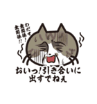 猫好きさんに送る！にゃんだらけスタンプ3（個別スタンプ：37）