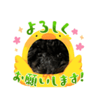 チェイス君のスタンプ（個別スタンプ：1）