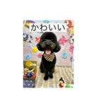チェイス君のスタンプ（個別スタンプ：4）