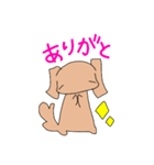 スタンプわんこーず（個別スタンプ：5）
