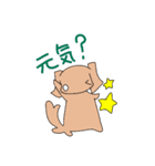 スタンプわんこーず（個別スタンプ：7）