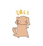 スタンプわんこーず（個別スタンプ：9）